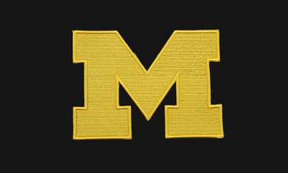 CHAIN STITCH EMBROIDERY