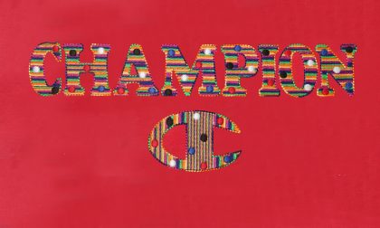 MULTICOLORS STITCH EMBROIDERY