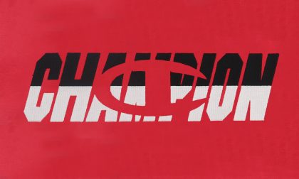 SATIN FILLED EMBROIDERY